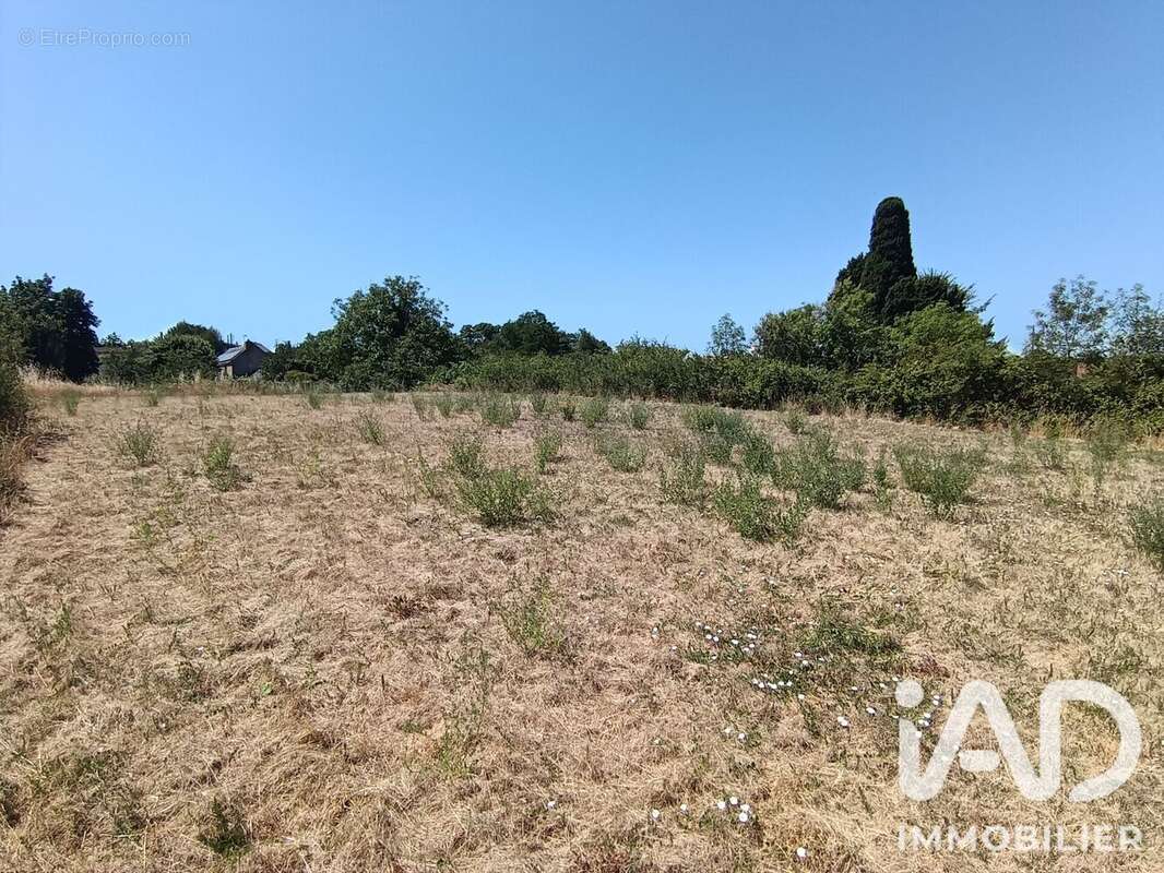 Photo 2 - Terrain à SAINT-JEAN-DE-THOUARS