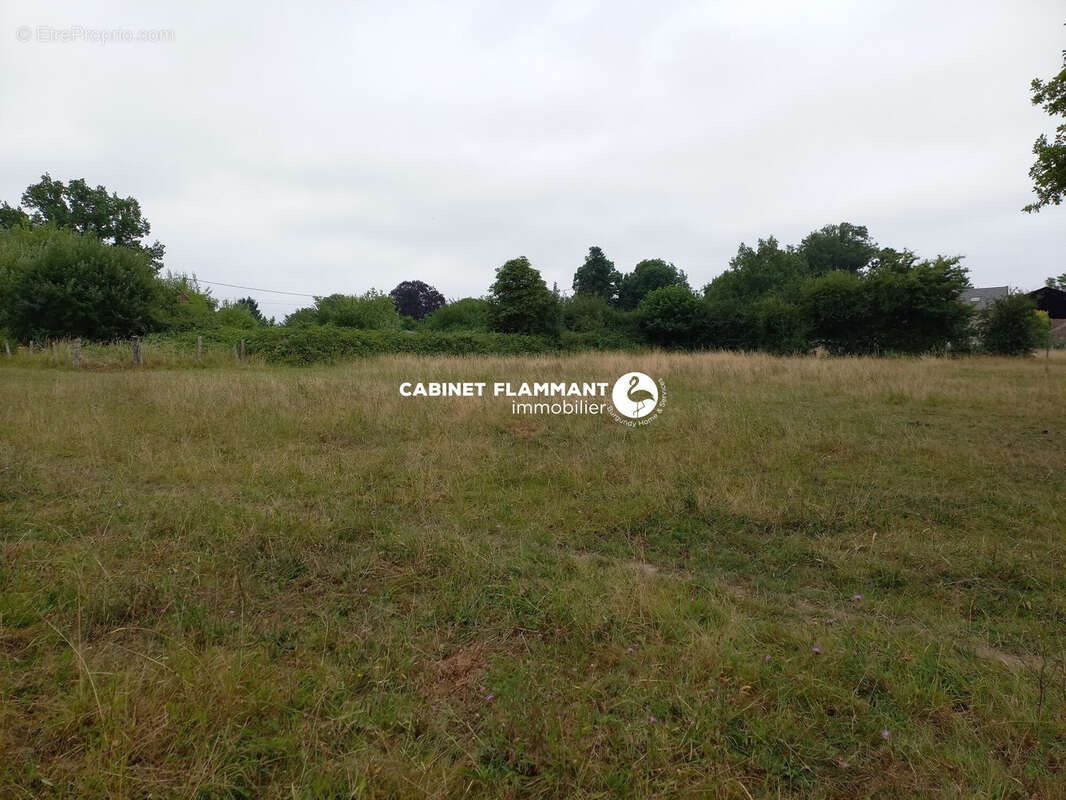 Terrain 3048 m² à Semur-En-Auxois  - photo 2