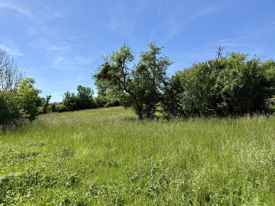 Terrain à SAINT-JEAN-DE-BONNEVAL