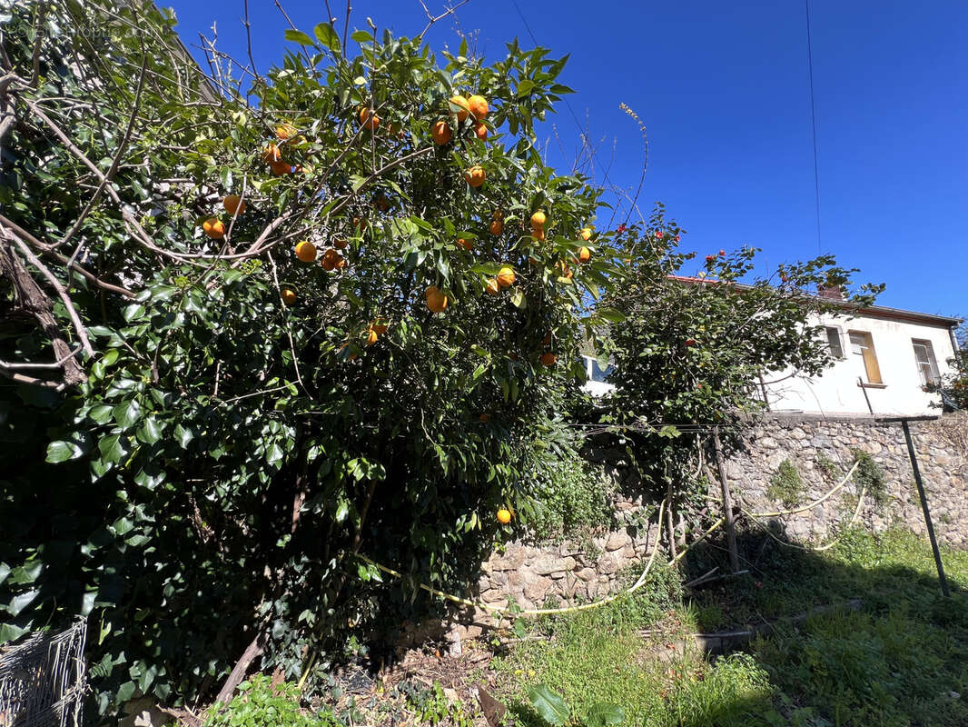 Maison à ARLES-SUR-TECH