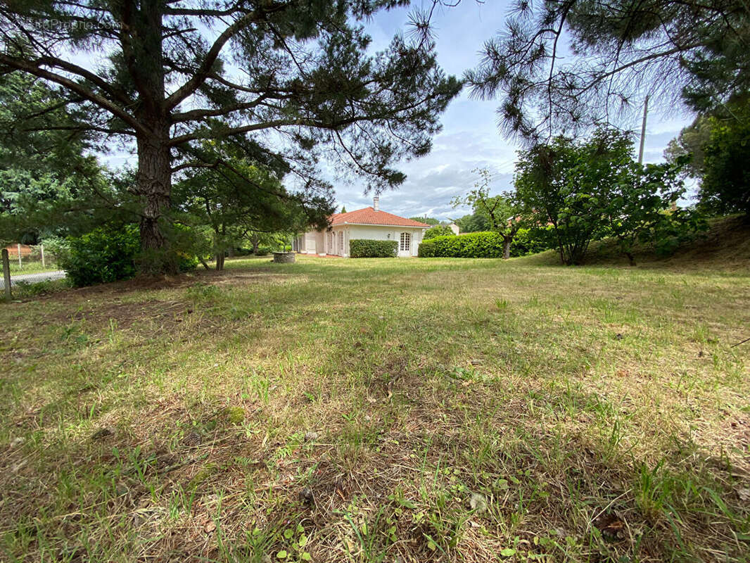 Maison à MURET