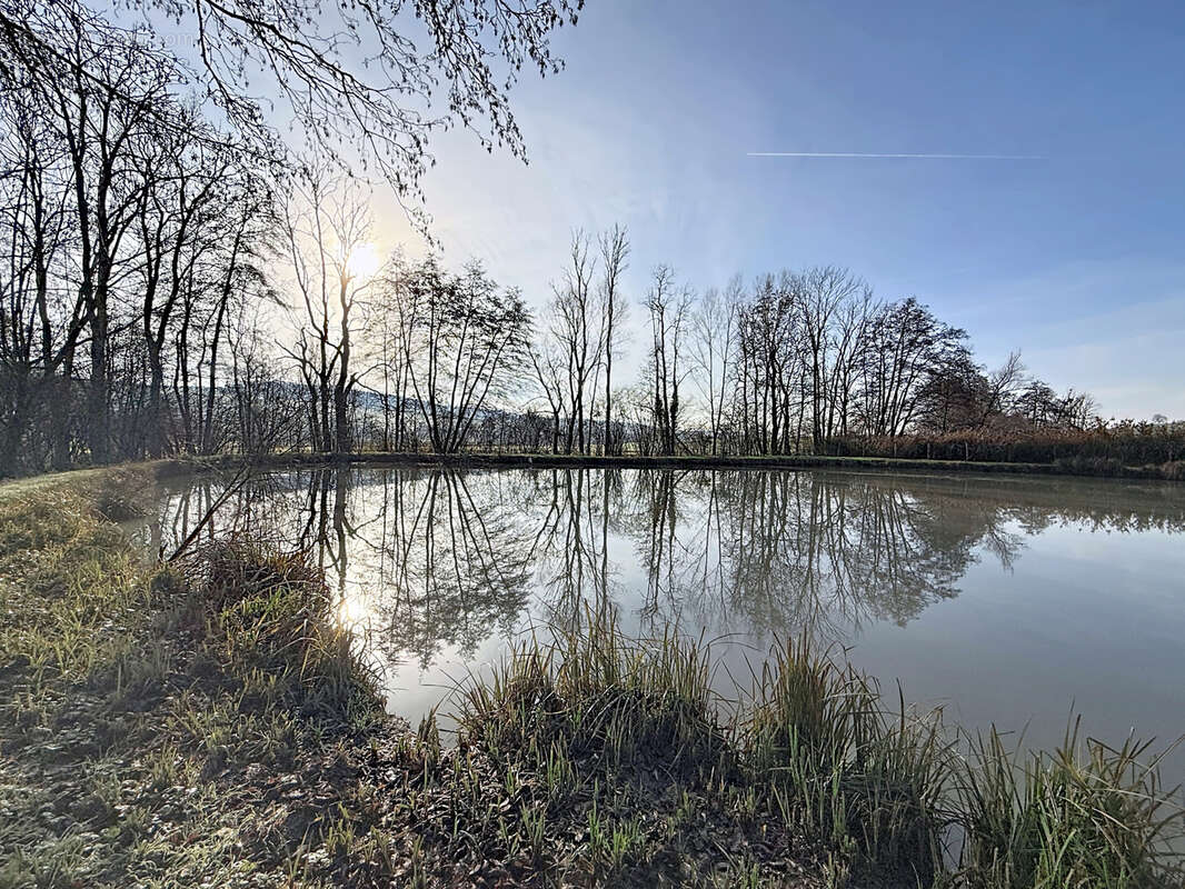 Terrain à MIRECOURT