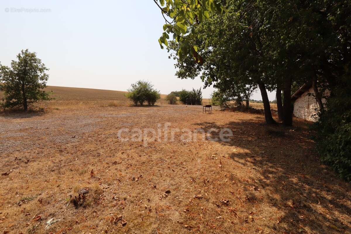 Élégante propriété en pierre au cœur de la campagne gersoise – Secteur Saint-Clar - photo 7