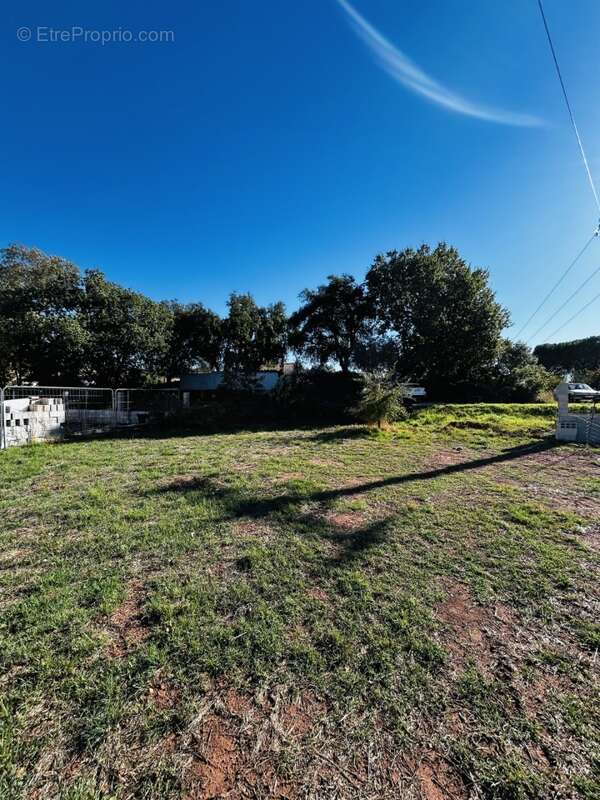 Terrain à LE CANNET-DES-MAURES