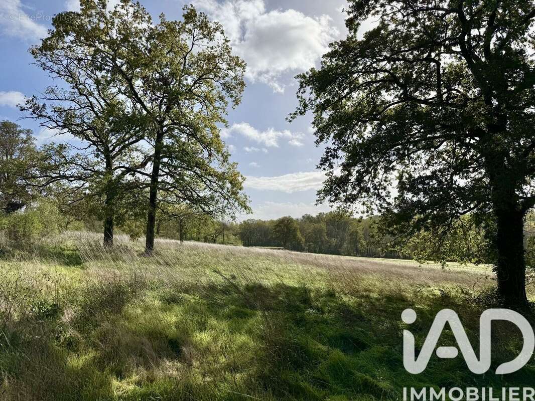 Photo 8 - Terrain à GOURDON