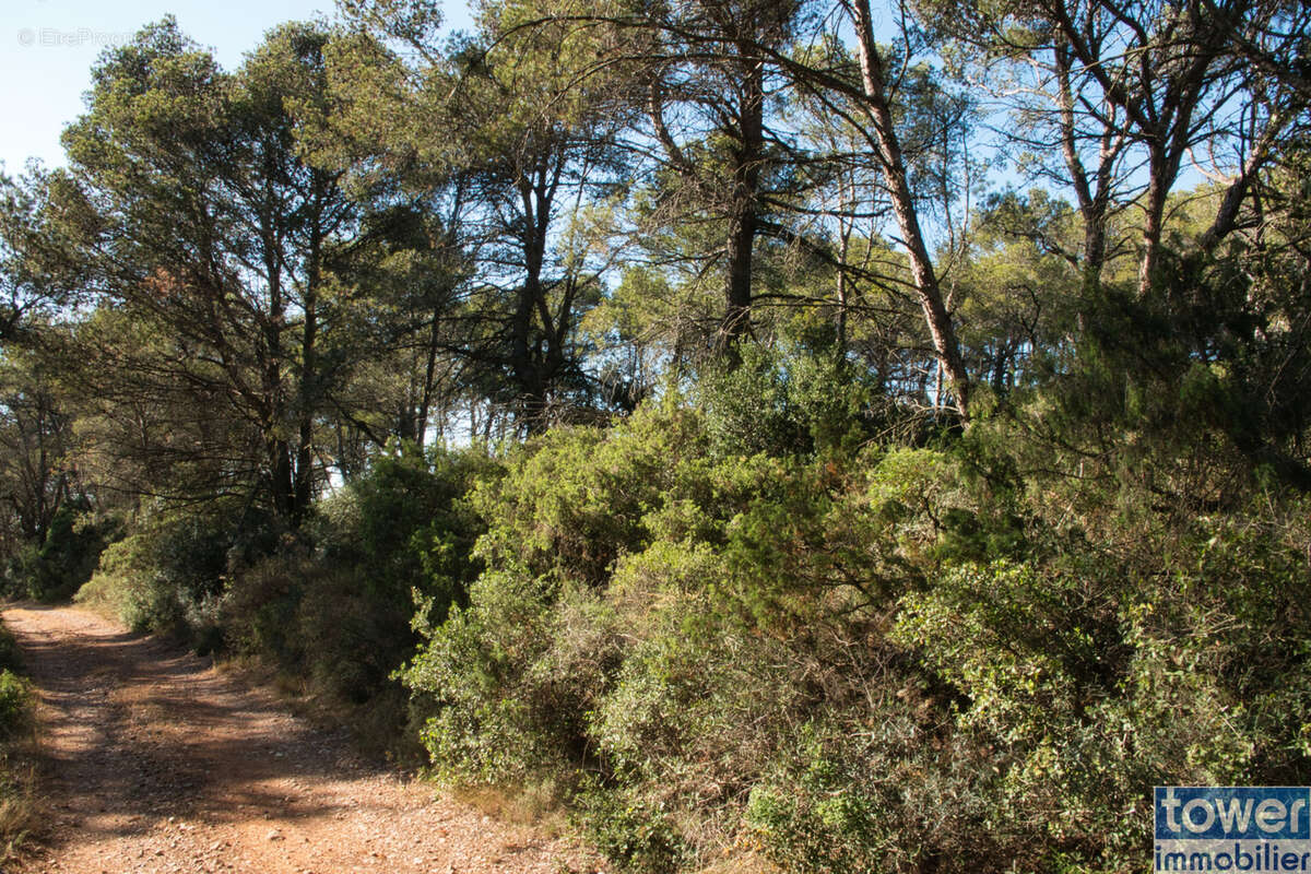 Terrain à FABREZAN