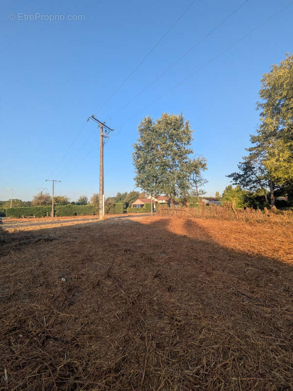 Terrain constructible de 1 793 m2   plat, non viabilisé - photo 7