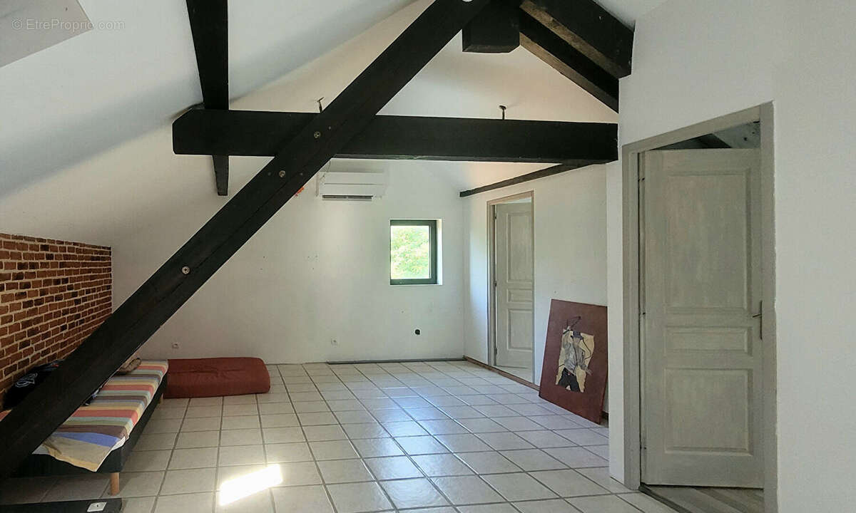 Maison 317m² à la bâtie-montgascon - photo 15