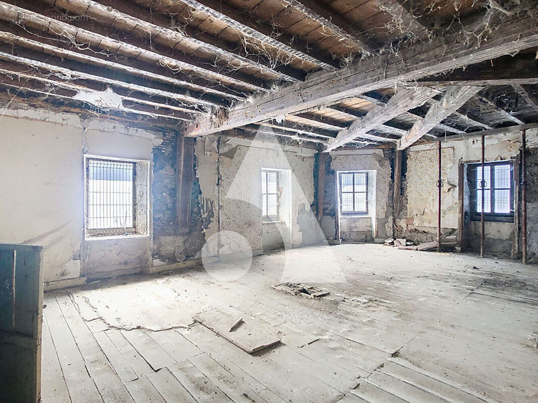 Immeuble Saint Symphorien Sur Coise 4 pièce(s) 225 m² - photo 5