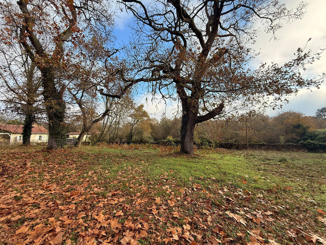 Terrain à UCHACQ-ET-PARENTIS