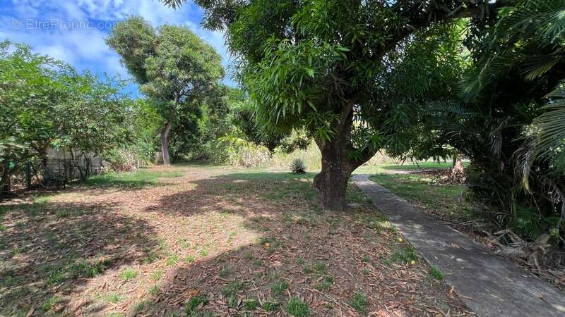 Appartement à REMIRE-MONTJOLY