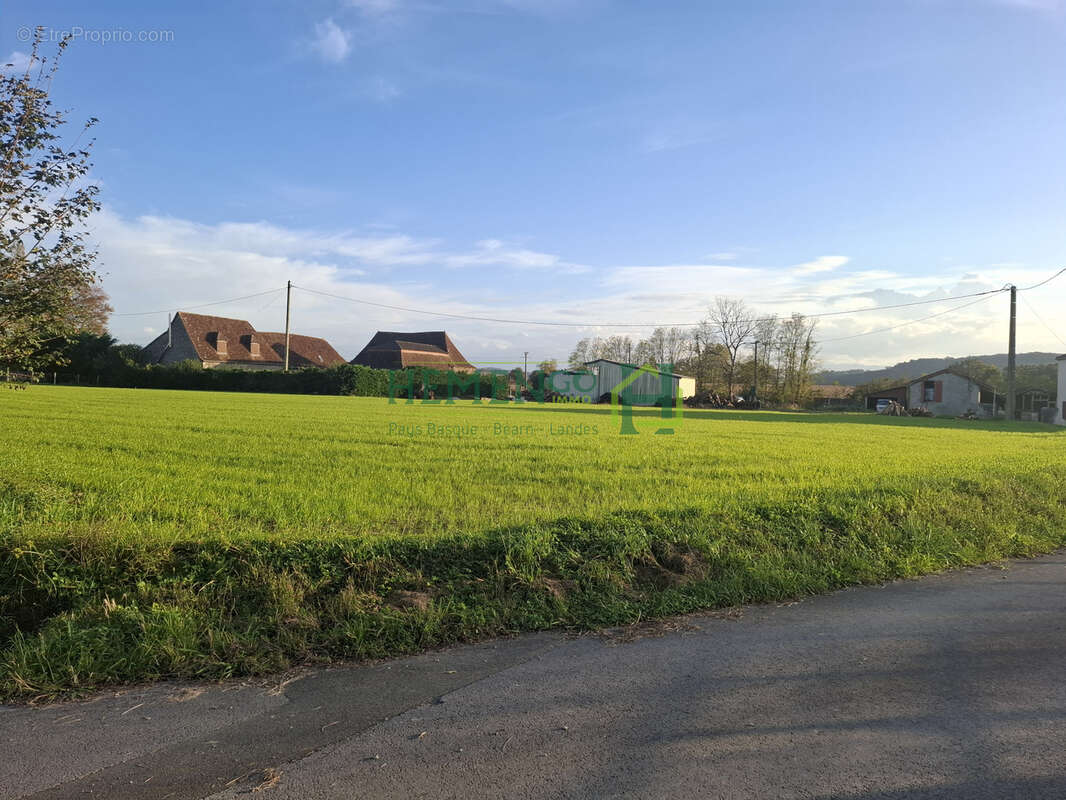  Terrain sans CU 5163 m2 NON CONSTRUCTIBLE + hangar avec photovoltaique. - photo 6