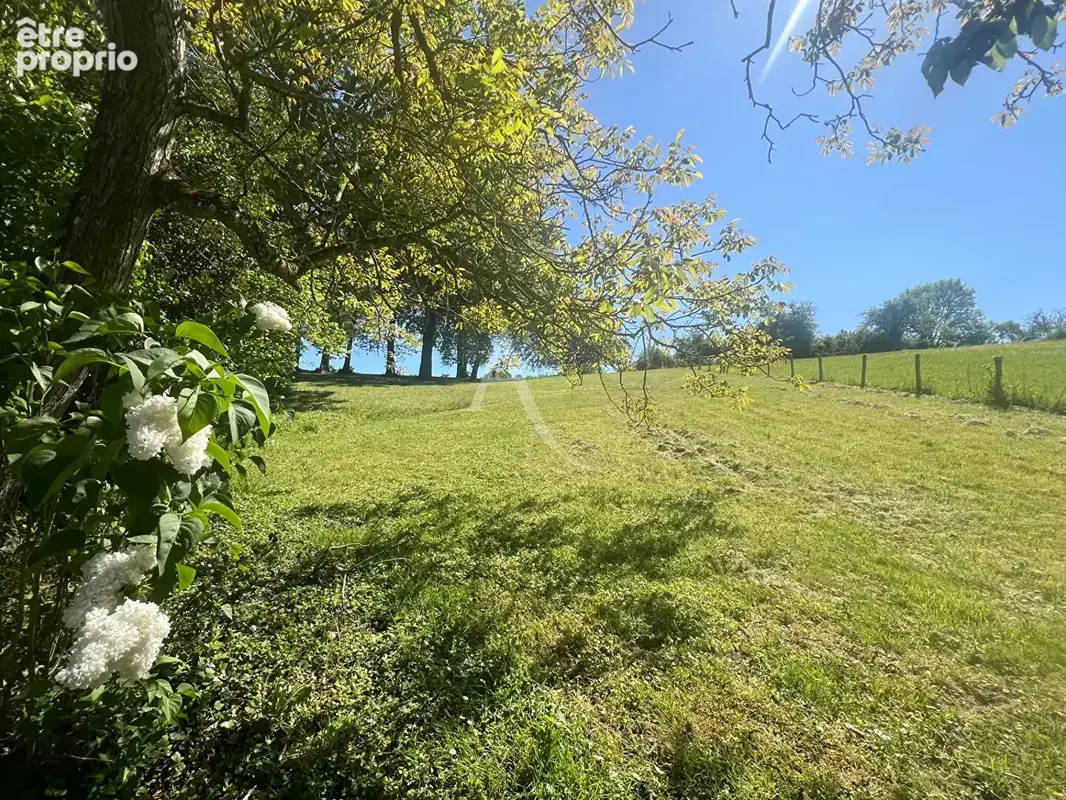 Terrain Chissay En Touraine 5320 m2 - photo 3