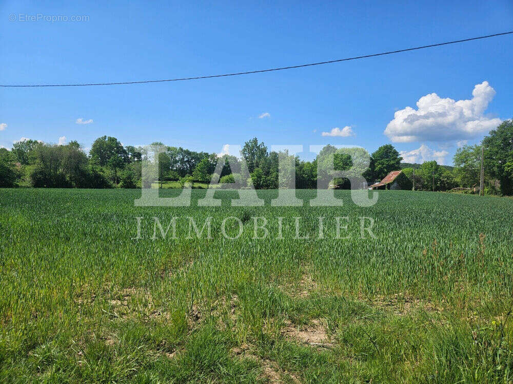 Terrain à SAINT-PIERRE-DES-NIDS