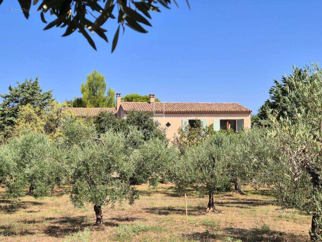Maison St Rémy vue Alpilles - photo 2