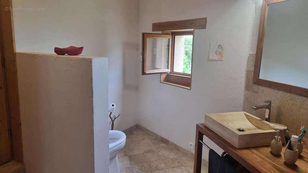 Salle d'eau avec wc - Maison à CAPDENAC-GARE