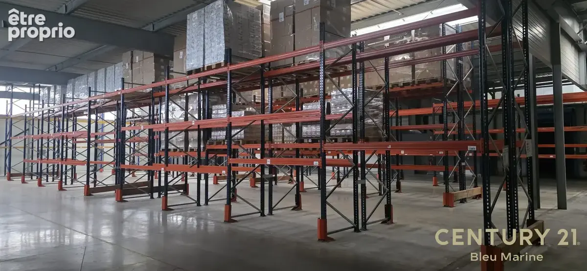 Commerce 3 600 m² à vendre à L'ile-D'olonne (85340) - photo 5
