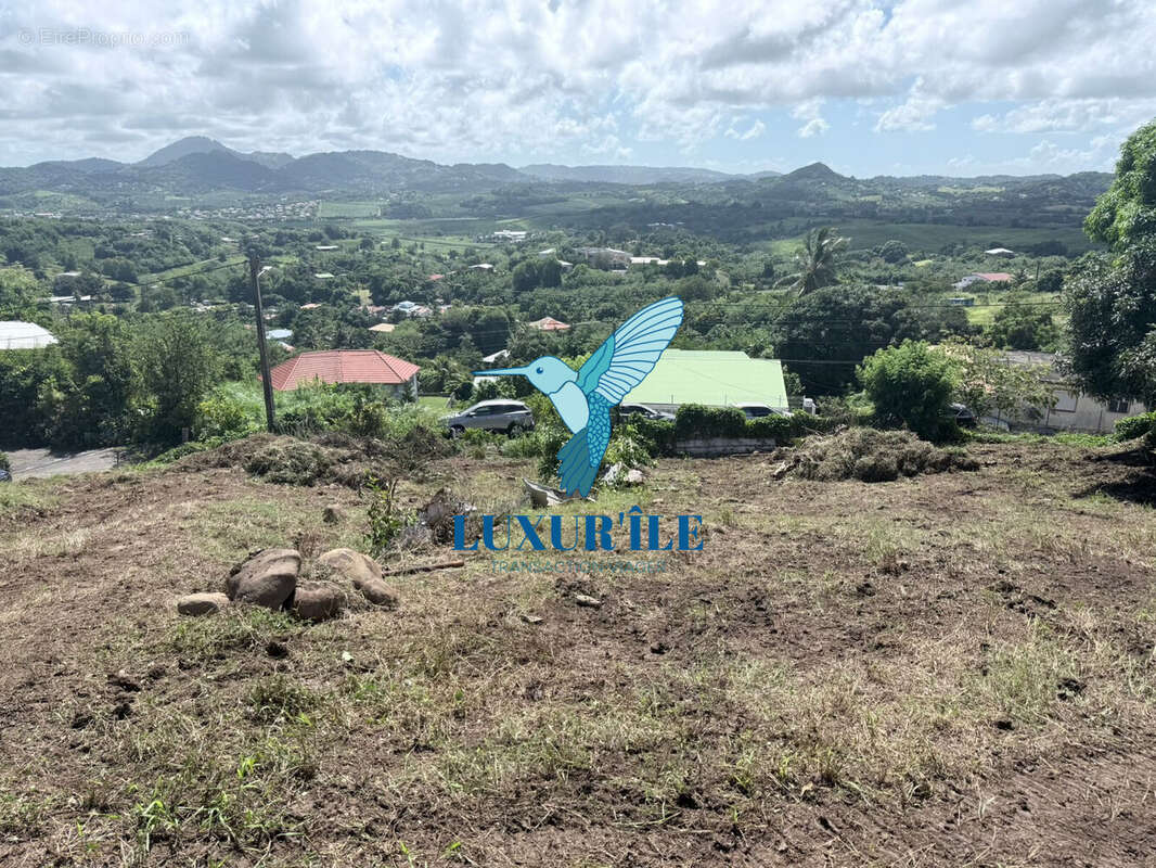 Terrain à LE FRANCOIS