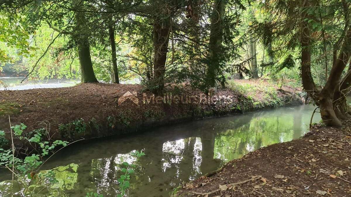 Terrain à CROISSANVILLE