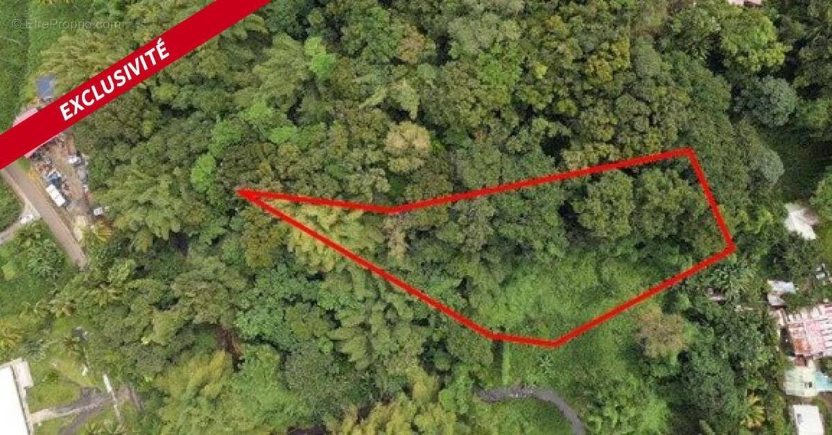 Terrain à LA TRINITE