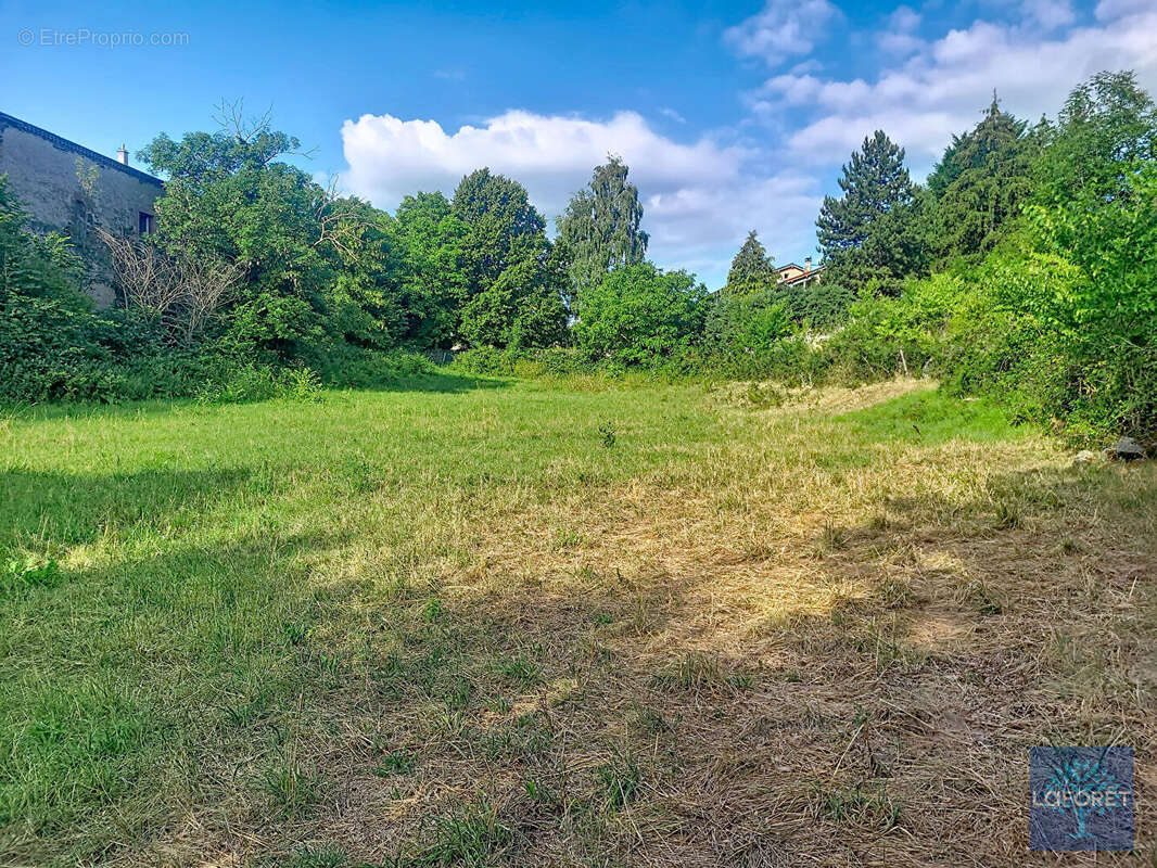 terrain constructible non viabilisé d'une surface de 1793m² - photo 2