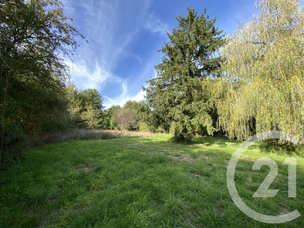 Maison à SAVIGNY-EN-SANCERRE