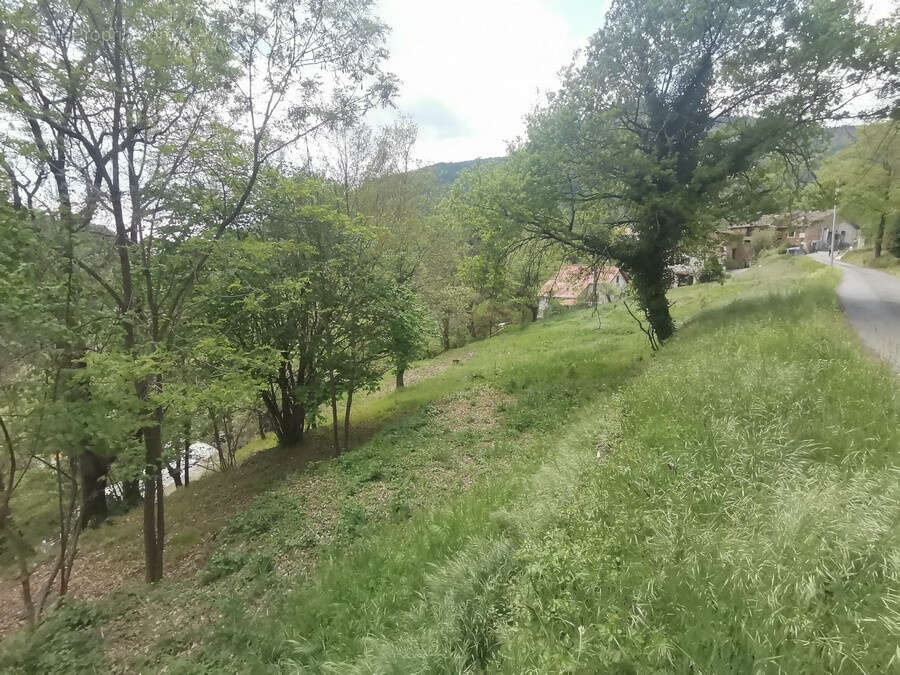 Terrain à LA BOLLENE-VESUBIE