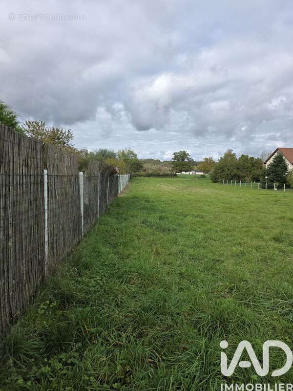 Photo 2 - Terrain à SAINT-GERAND-LE-PUY