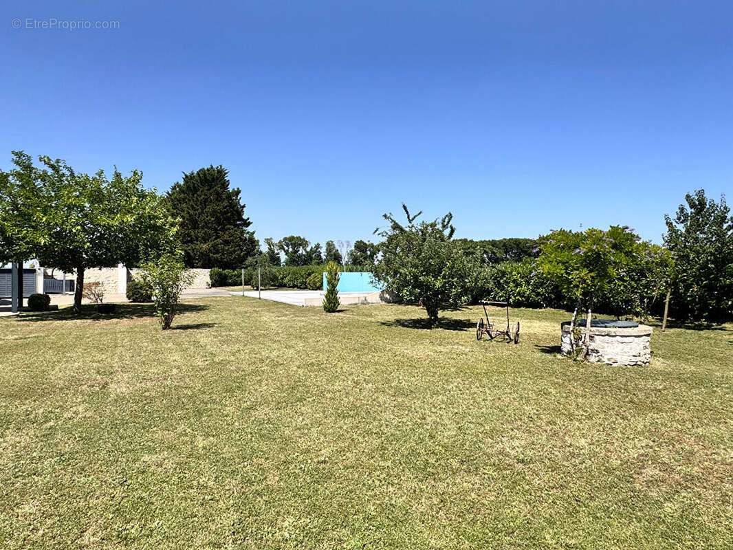 Maison Tonnay Charente 6 pièce(s) 470 m2 - photo 8