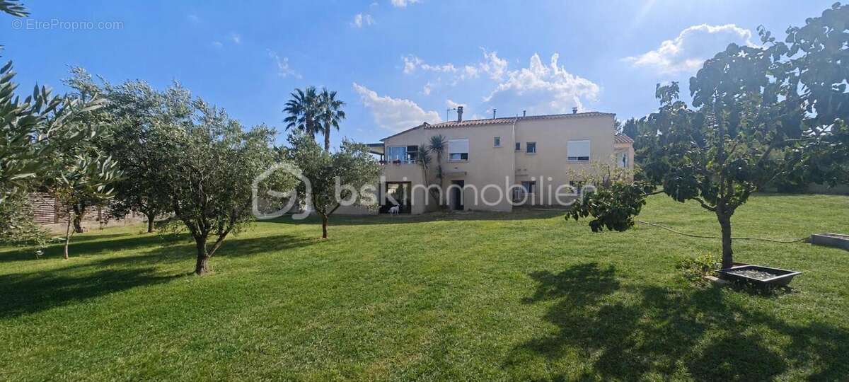 RARE !!!Aux portes de Montpellier et du bassin de Thau, propriété avec maison de 233m2 au coeur de 5000m2 constructible - photo 3