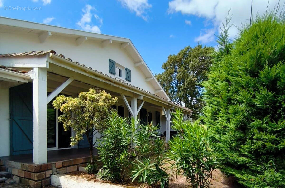 Maison à BELIN-BELIET