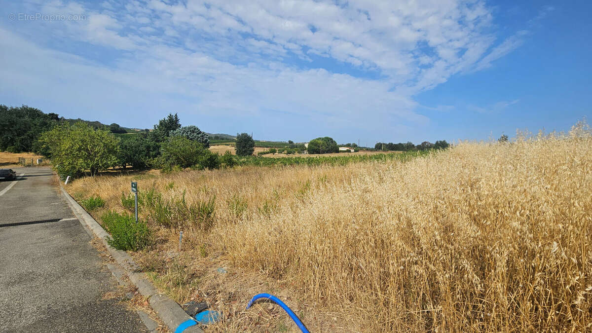 Terrain 1109m² à routier - photo 3
