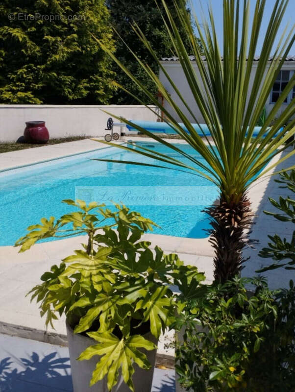 Maison Cognac 6 Kms de 154 m2 - photo 2
