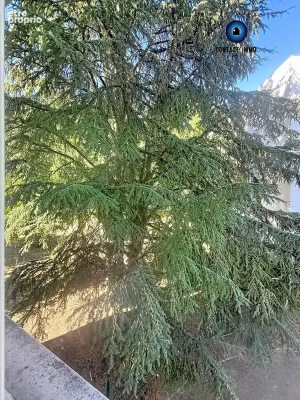 Appartement 4 pièces 93 m² à vendre à Brive-La-Gaillarde (19100) - photo 7