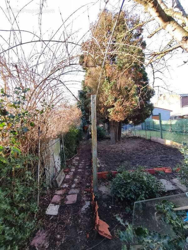 jardin - Maison à MONTIGNY-EN-GOHELLE