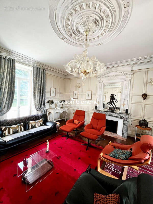 Maison 370 m² à Saint-Denis-La-Chevasse  - photo 6
