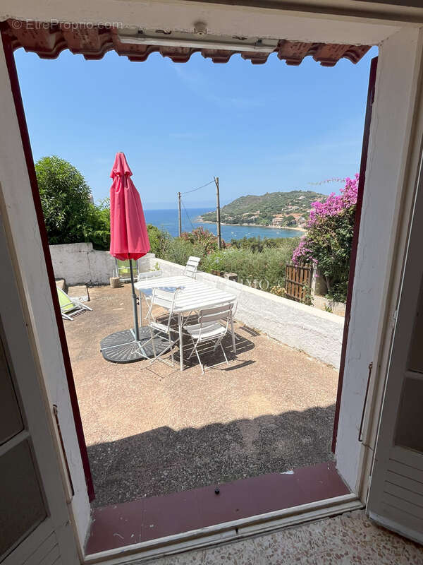 Tiuccia  Ensemble immobilier vue mer 3 unités autonomes - photo 16