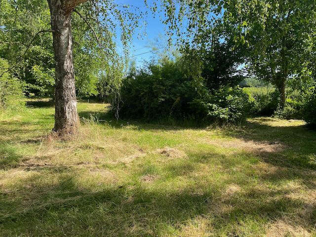 Terrain à BOURG-LE-COMTE