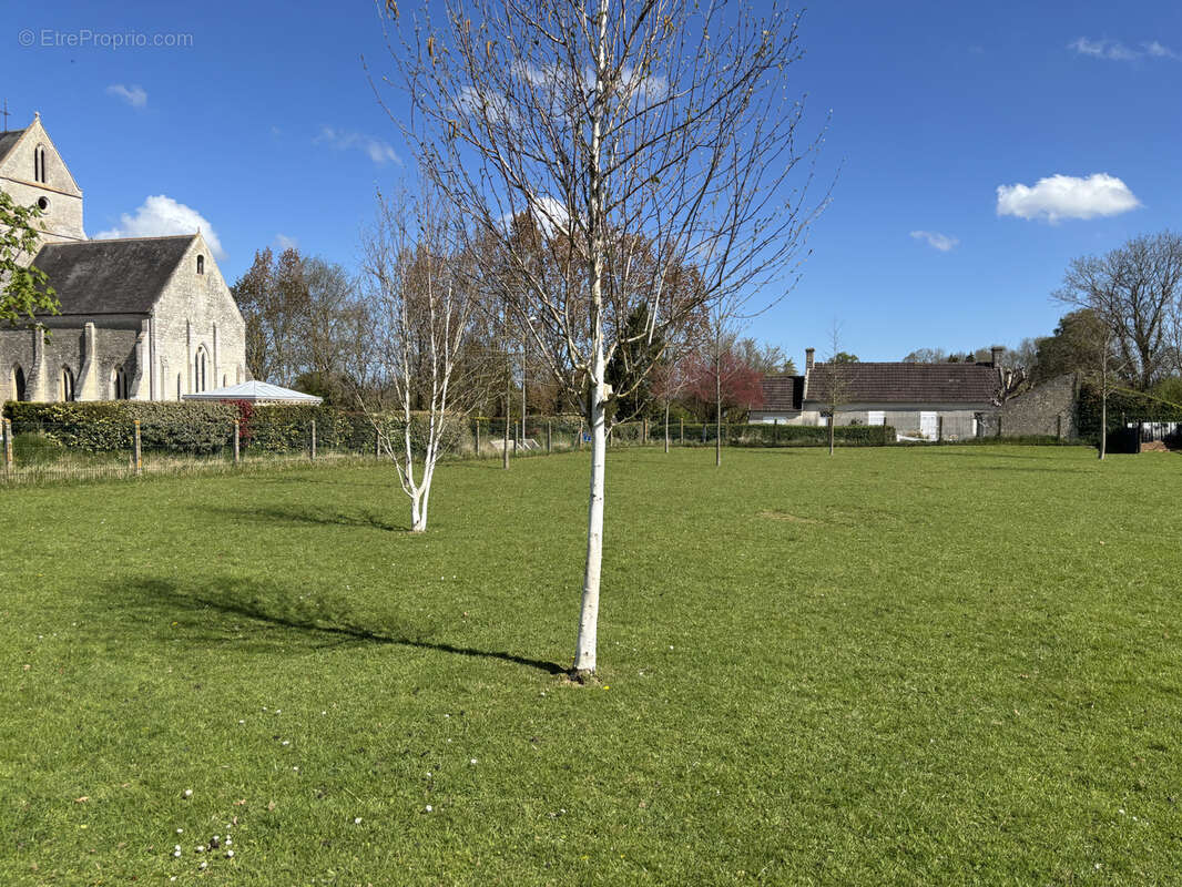 Terrain à MOSLES