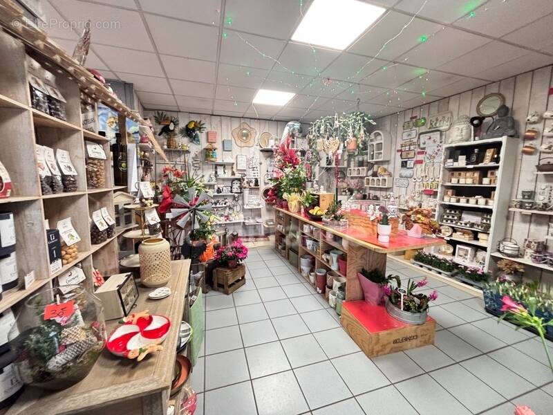 Commerce à NERONDES