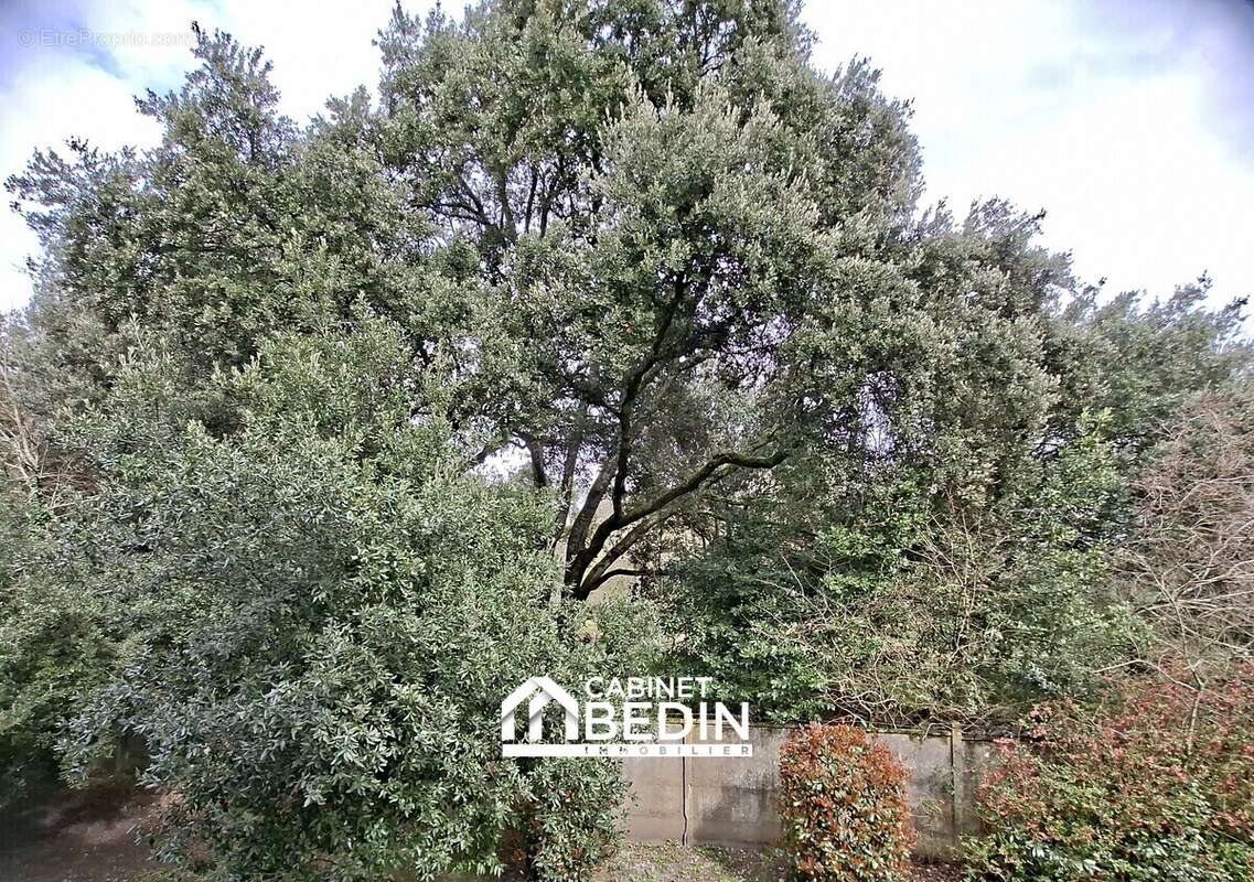 Appartement à PESSAC