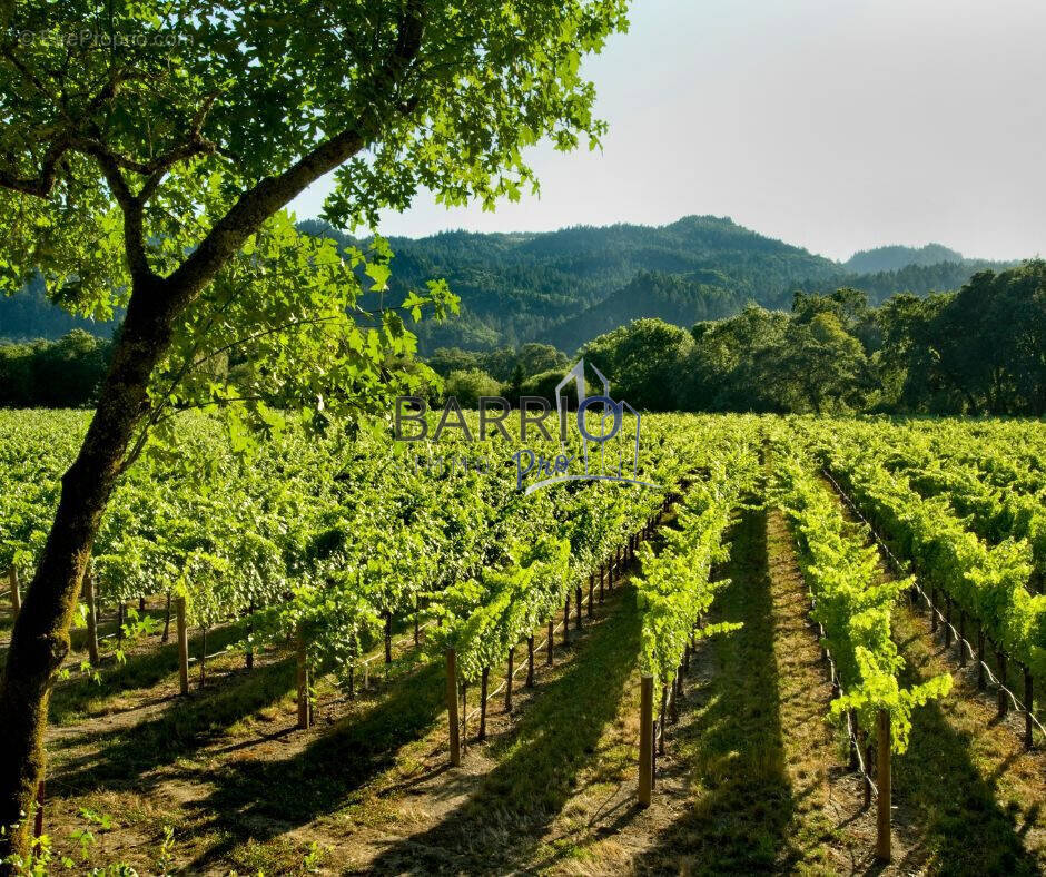 Autre à BANYULS-SUR-MER