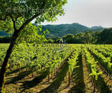 Autre à BANYULS-SUR-MER