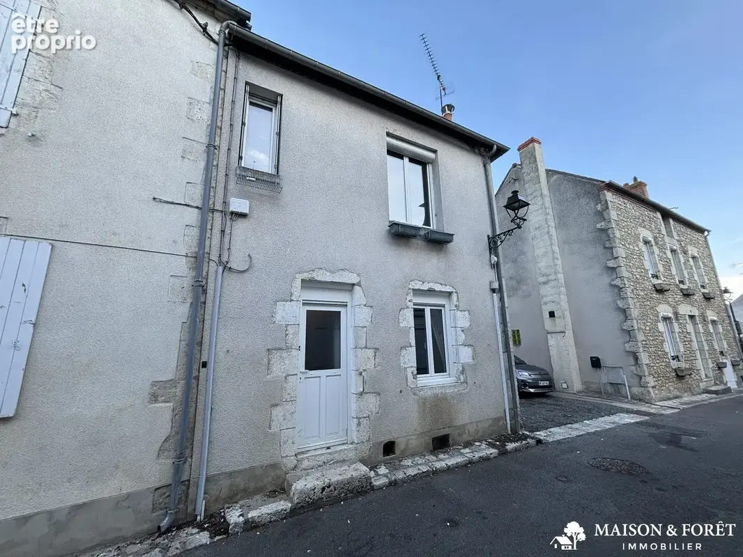 Maison 3 pièces 60 m² à vendre à Ouzouer-Sur-Trezee (45250) - photo 1