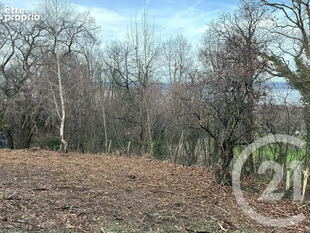 Terrain 1 458 m² à vendre à Maxilly-Sur-Leman (74500) - photo 6