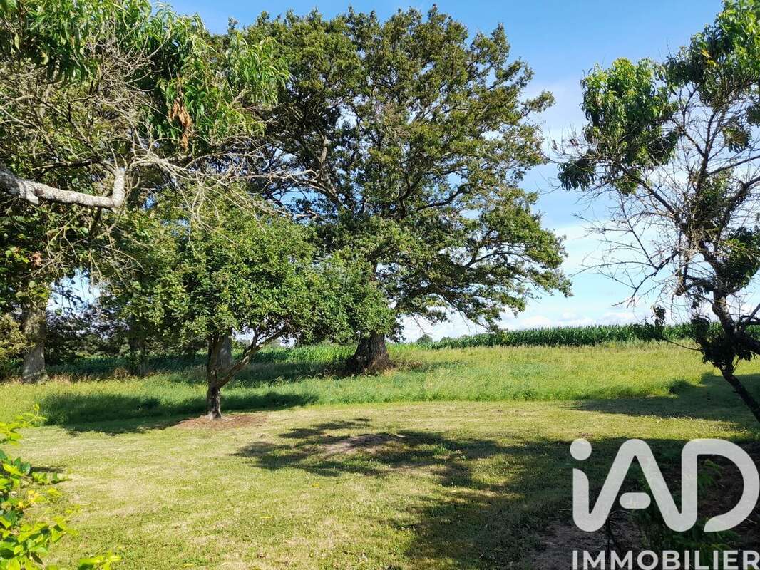 Photo 3 - Maison à CARBAY