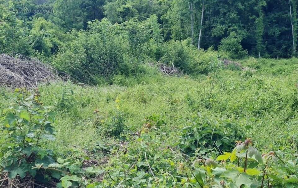 Terrain à VAUX-LE-PENIL