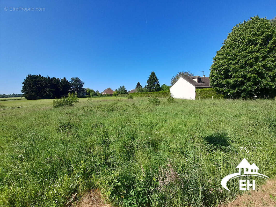 Terrain à SAINT-MAURICE-LES-CHARENCEY