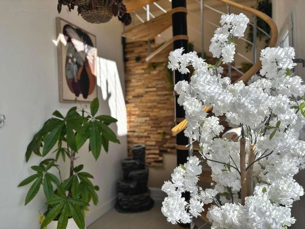 Photo 7 - Appartement à TOULON