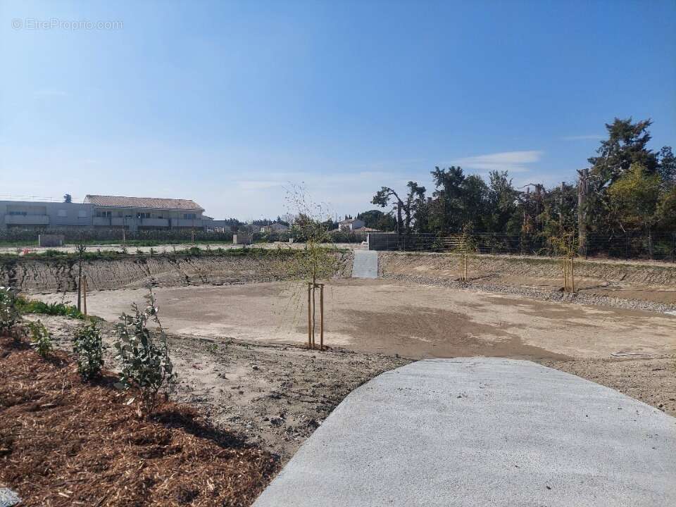 Terrain à CHATEAURENARD